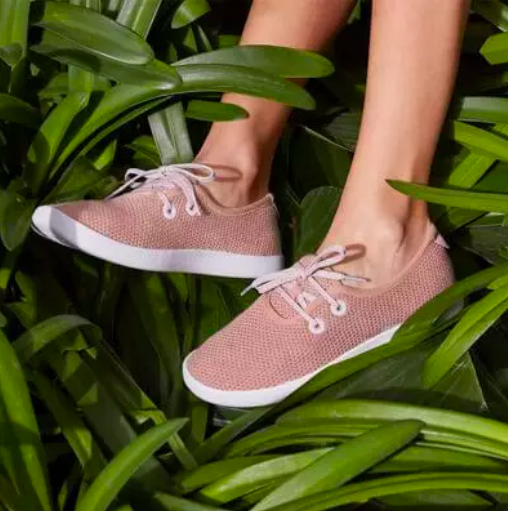 @allbirds