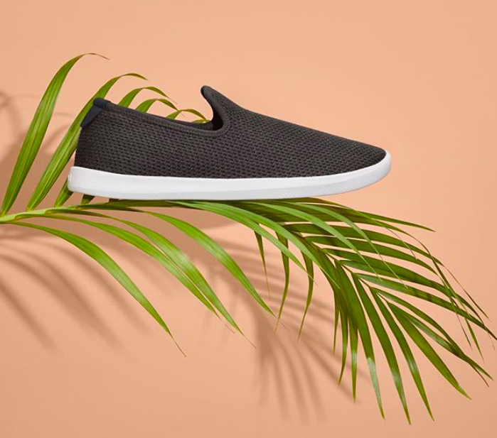 @allbirds