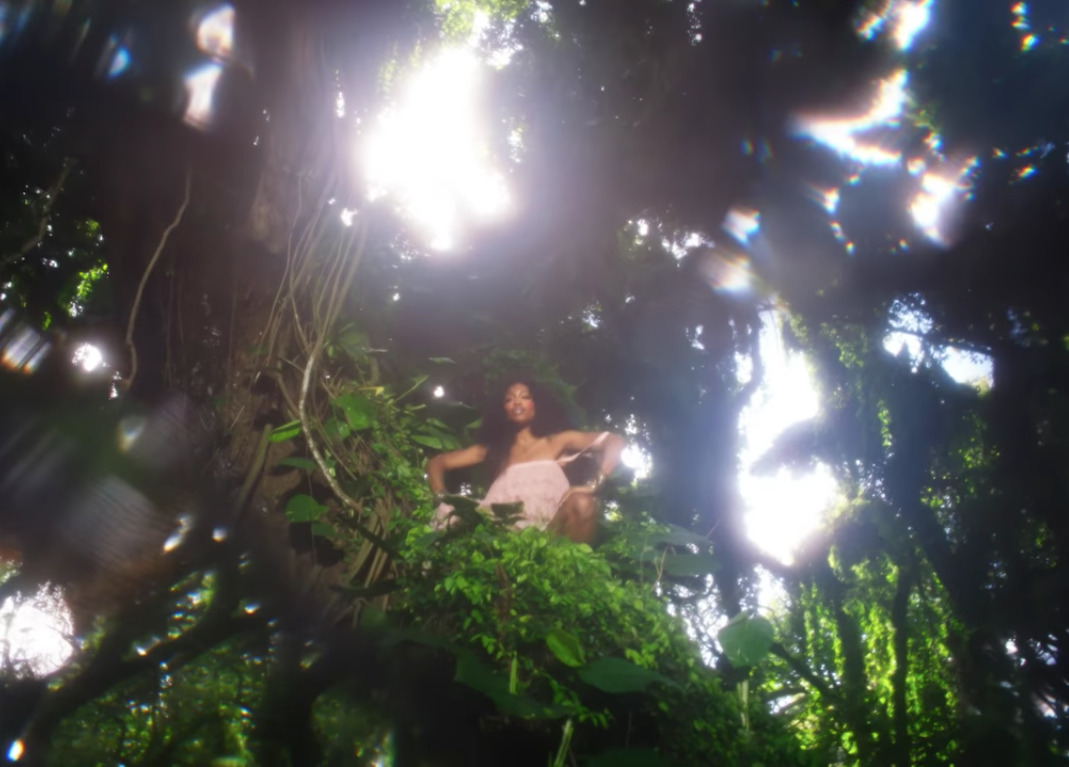 Watch SZA's new video Garden (Say It Like Dat) w/Donald Glover // DNAMAG