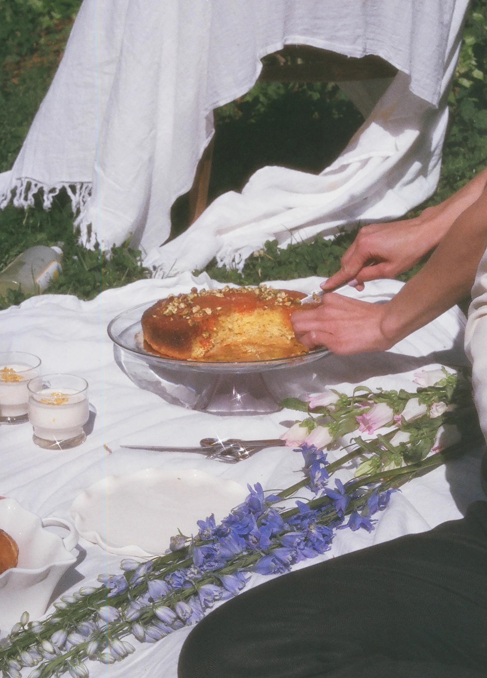 food and fashion (luci zolea + lauren schofield) // DNAMAG.co