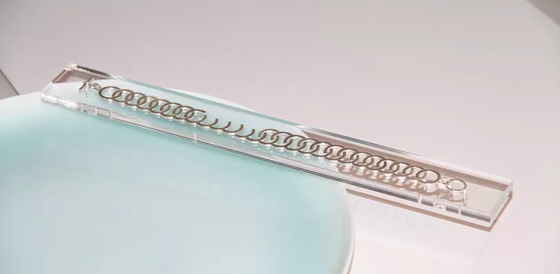 Single Chain Bracelet as earrings by Ellan Huang // DNAMAG