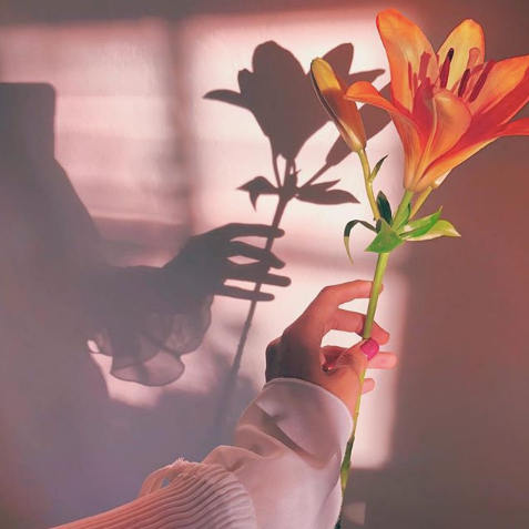 Favorite 5 Instagrams of the Week 💐 