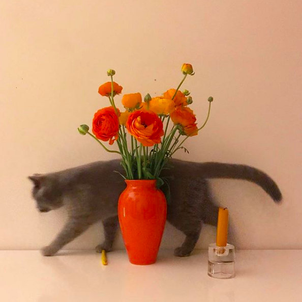 Favorite 5 Instagrams of the Week 