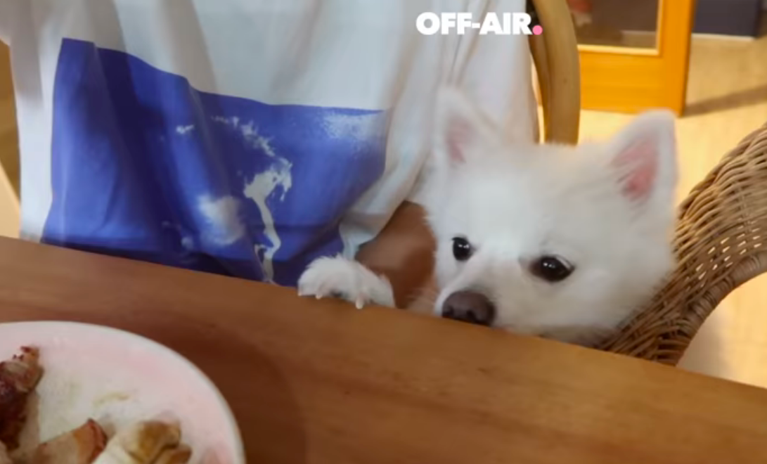 5 South Korean Vloggers To Subscribe To 