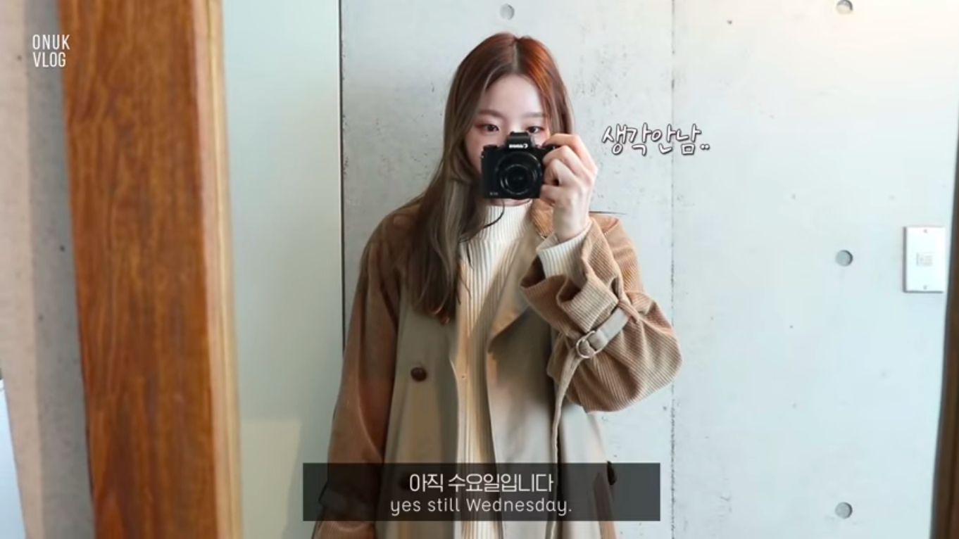 5 South Korean Vloggers To Subscribe To 