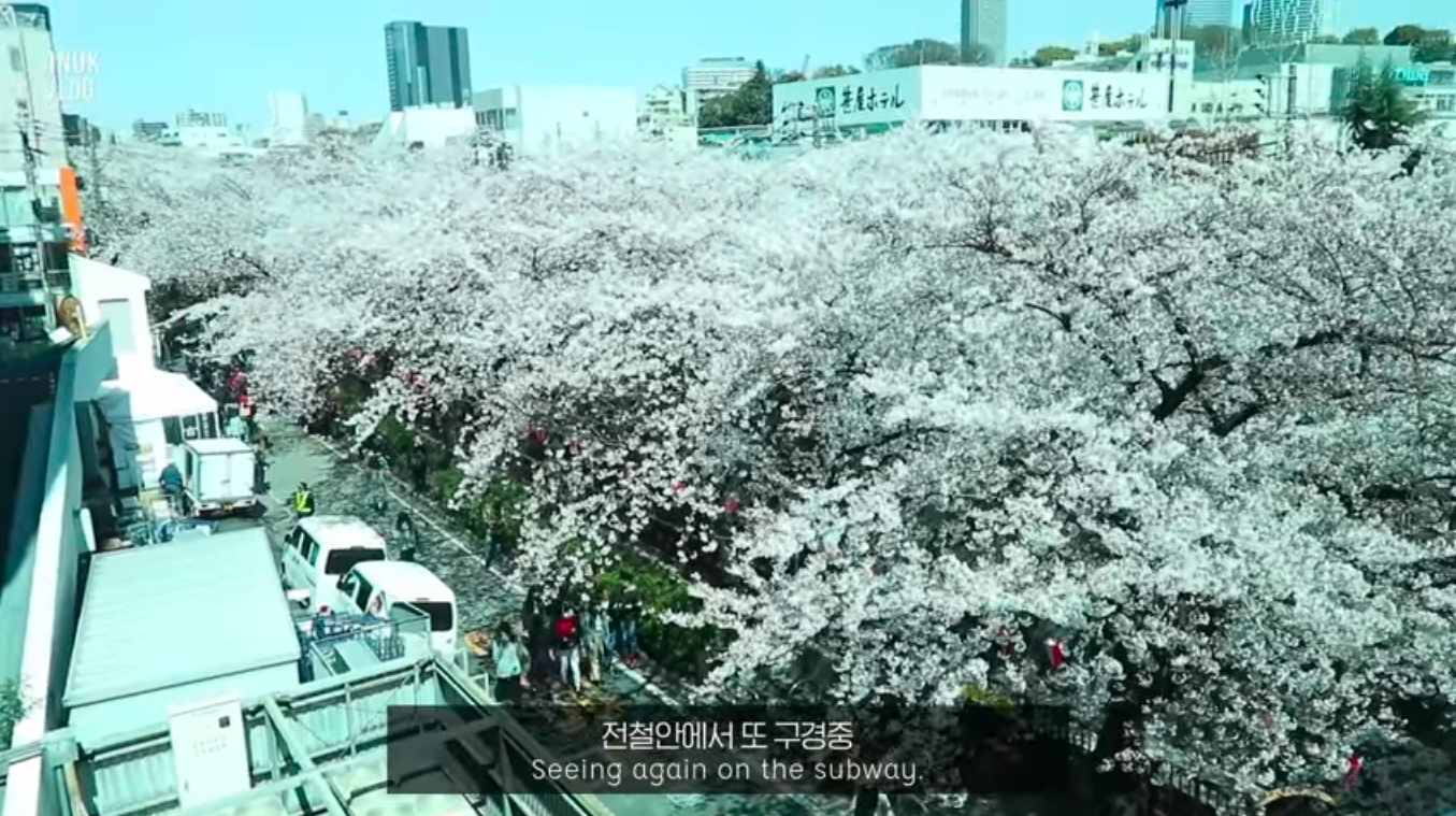 5 South Korean Vloggers To Subscribe To 
