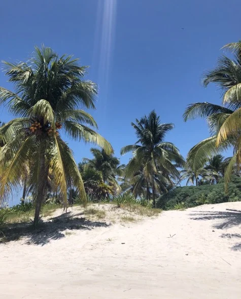 Tulum, Mexico (ph: Madeleine Cotton)