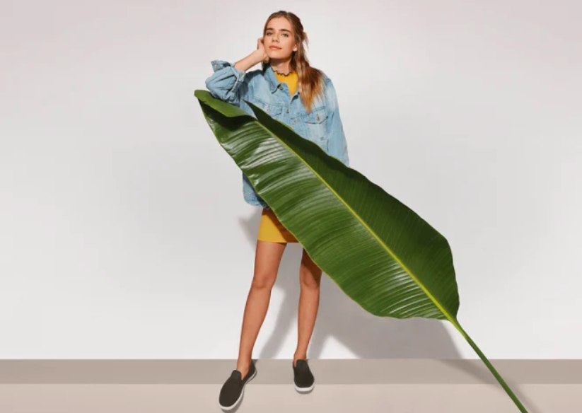 Free Shoes + Paid Internship: Allbirds Hiring Design Intern (San Francisco) 