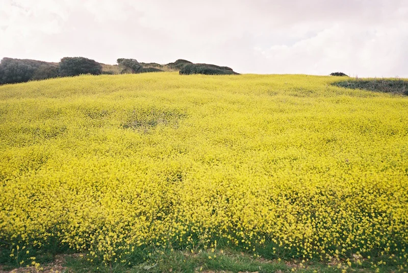Off Season photo series by Claudia Grosche via DNAMAG