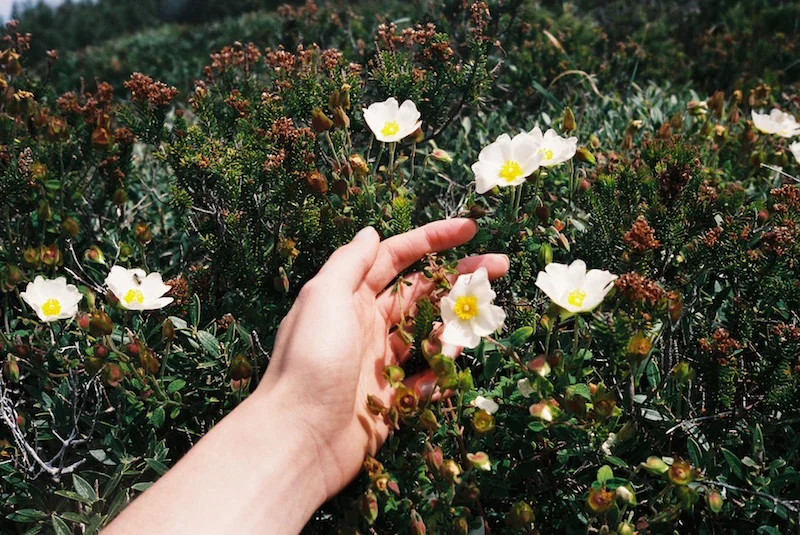 Off Season photo series by Claudia Grosche via DNAMAG