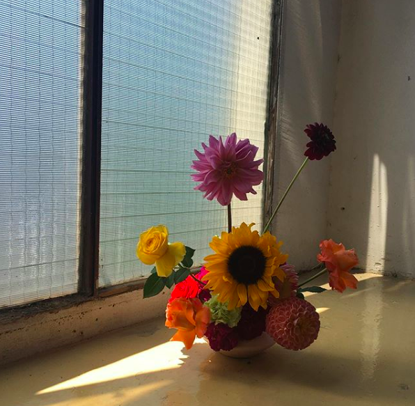Favorite 5 Instagrams of the Week 💐 