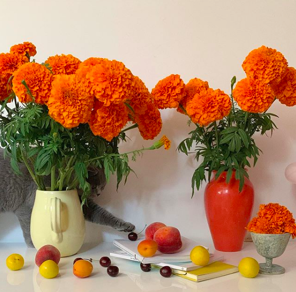 Favorite 5 Instagrams of the Week 