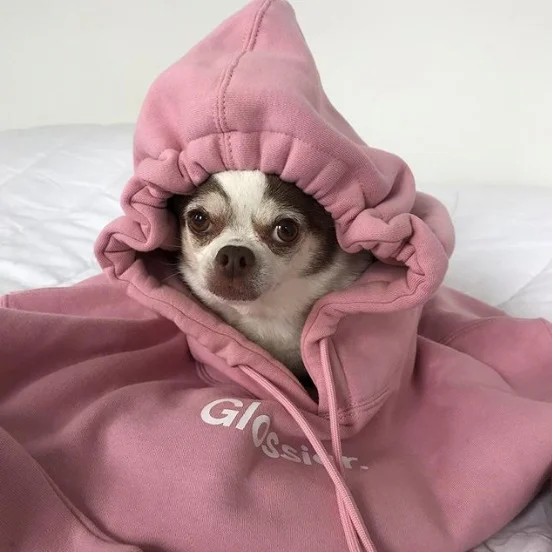 Work It: Glossier Hiring Design Lead (NYC)