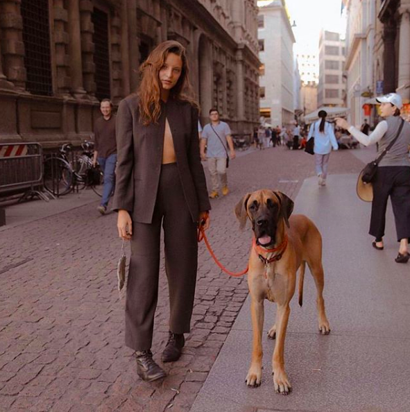 Favorite 5 Instagrams of the Week 🐕 