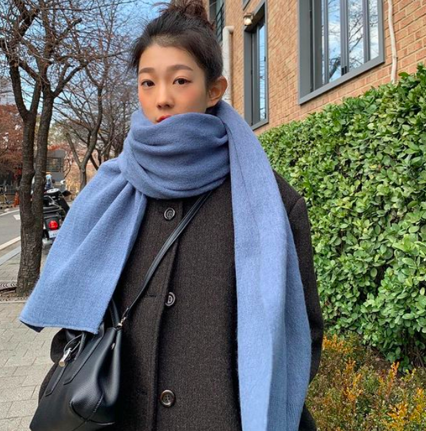 The Winter Wool Coat 