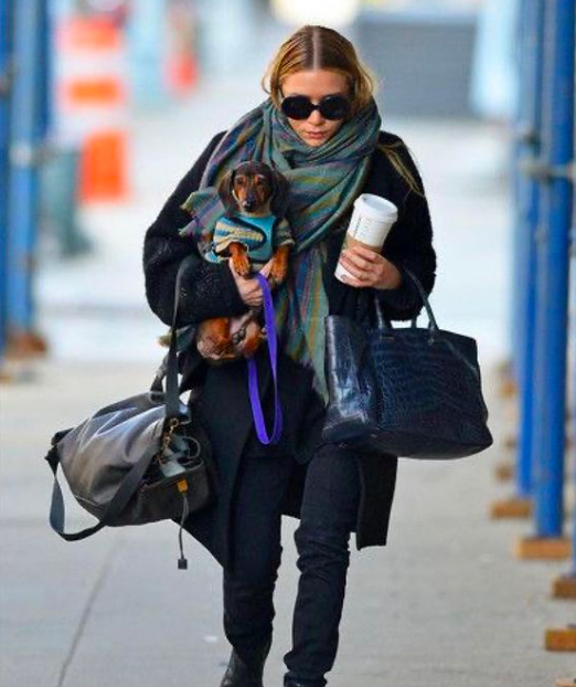 Walking the Dog Coat