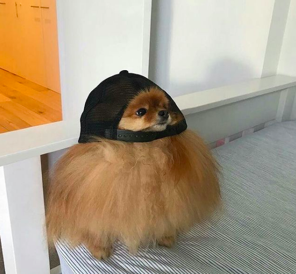@_S___O