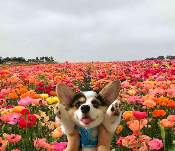 @MIGNONETTETAKESPICTURES