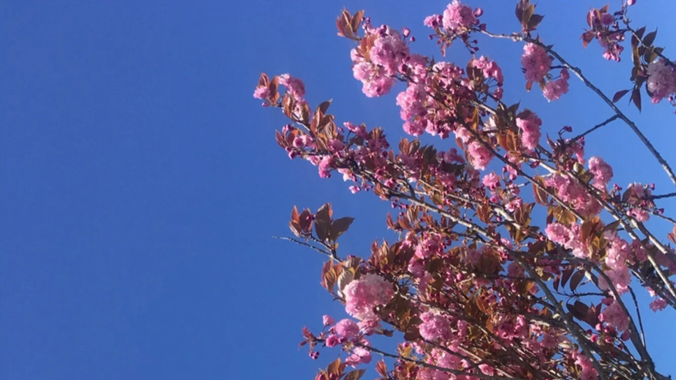 How to License Your Photos 