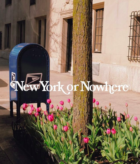 Favorite 5 Instagrams of the Week 🌷