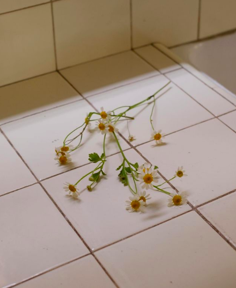 Favorite 5 Instagrams of the Week 🌼 