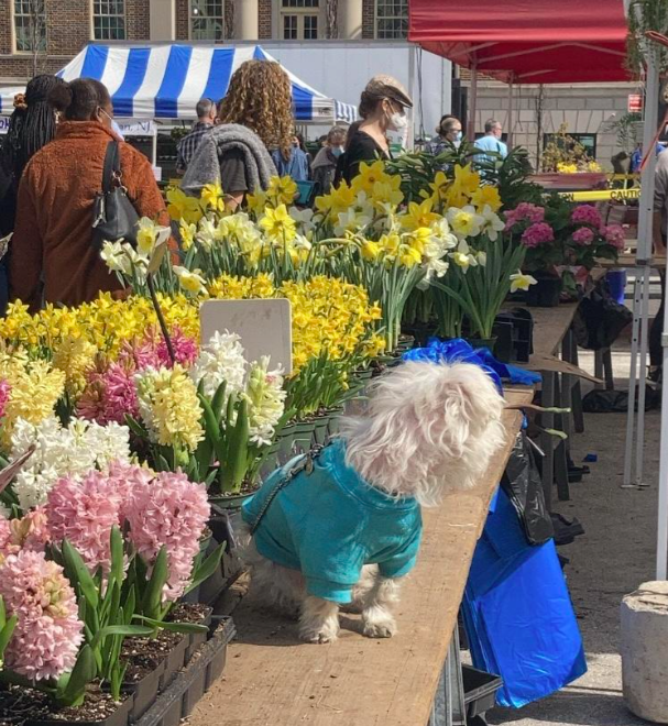 The Best NYC Summer On a Budget