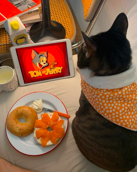 Favorite 5 Instagrams of the Week 🐈 