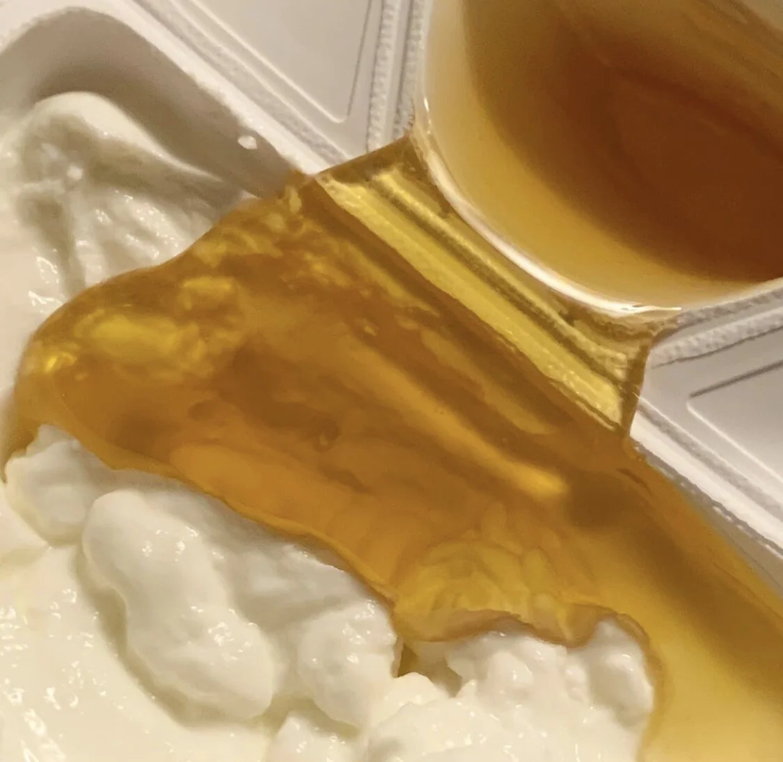 Favorite 5 Instagrams of the Week 🍯