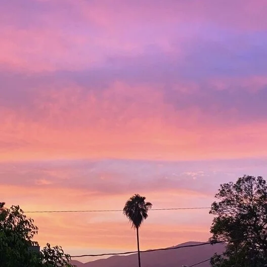 Favorite 5 Instagrams of the Week 🌴 