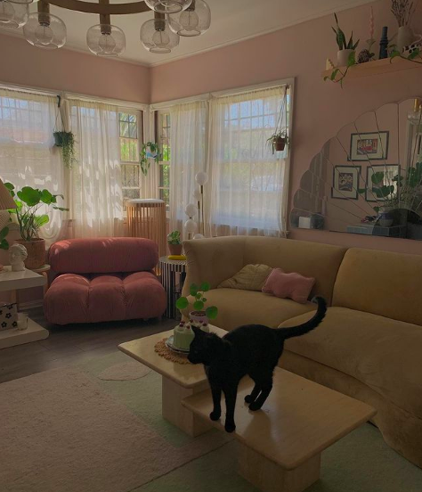 Favorite 5 Instagrams of the Week 🐱 🐶 