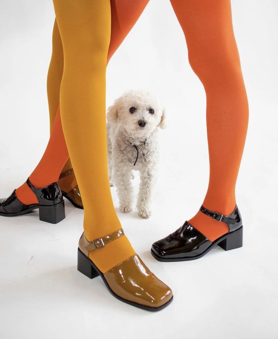 Favorite 5 Instagrams of the Week 🦪🥿