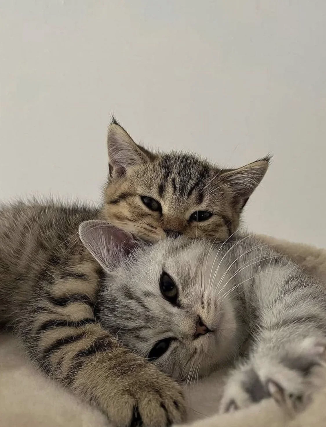 @MIGNONETTETAKESPICTURES