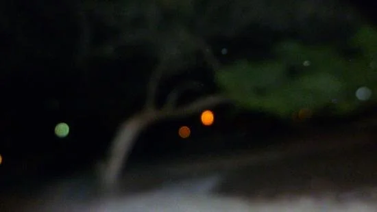 Why It's Funner to Believe in the Paranormal and UFO Sightings