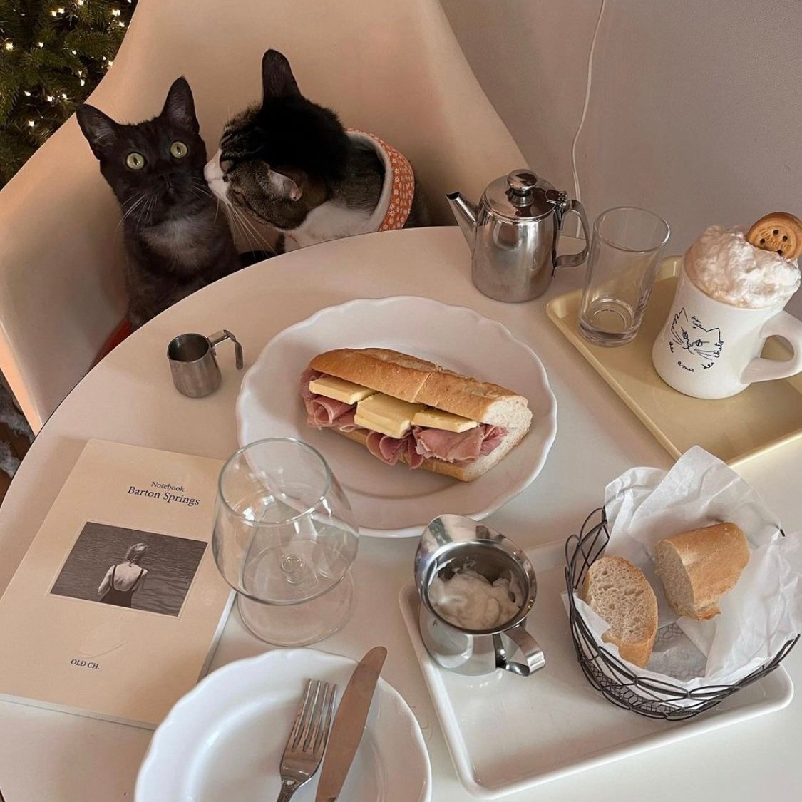 Favorite 5 Instagrams of the Week 🐈‍⬛