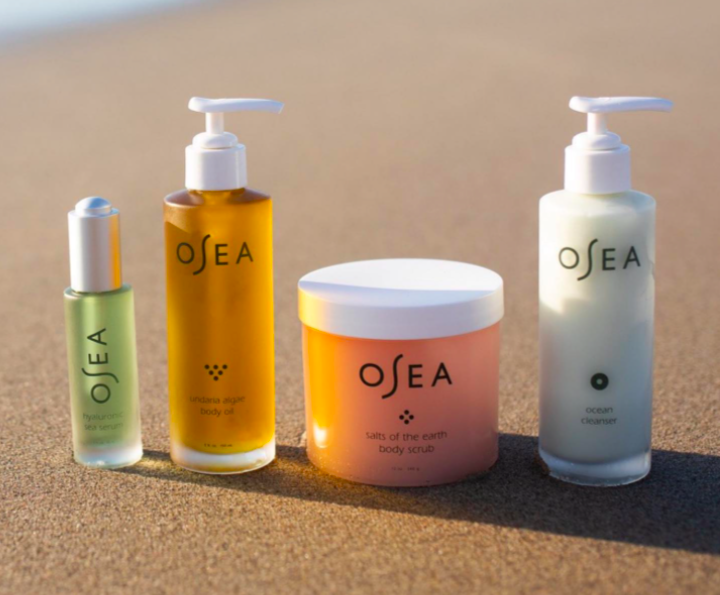 OSEA is Hiring Freelance Graphic Designer (Remote)