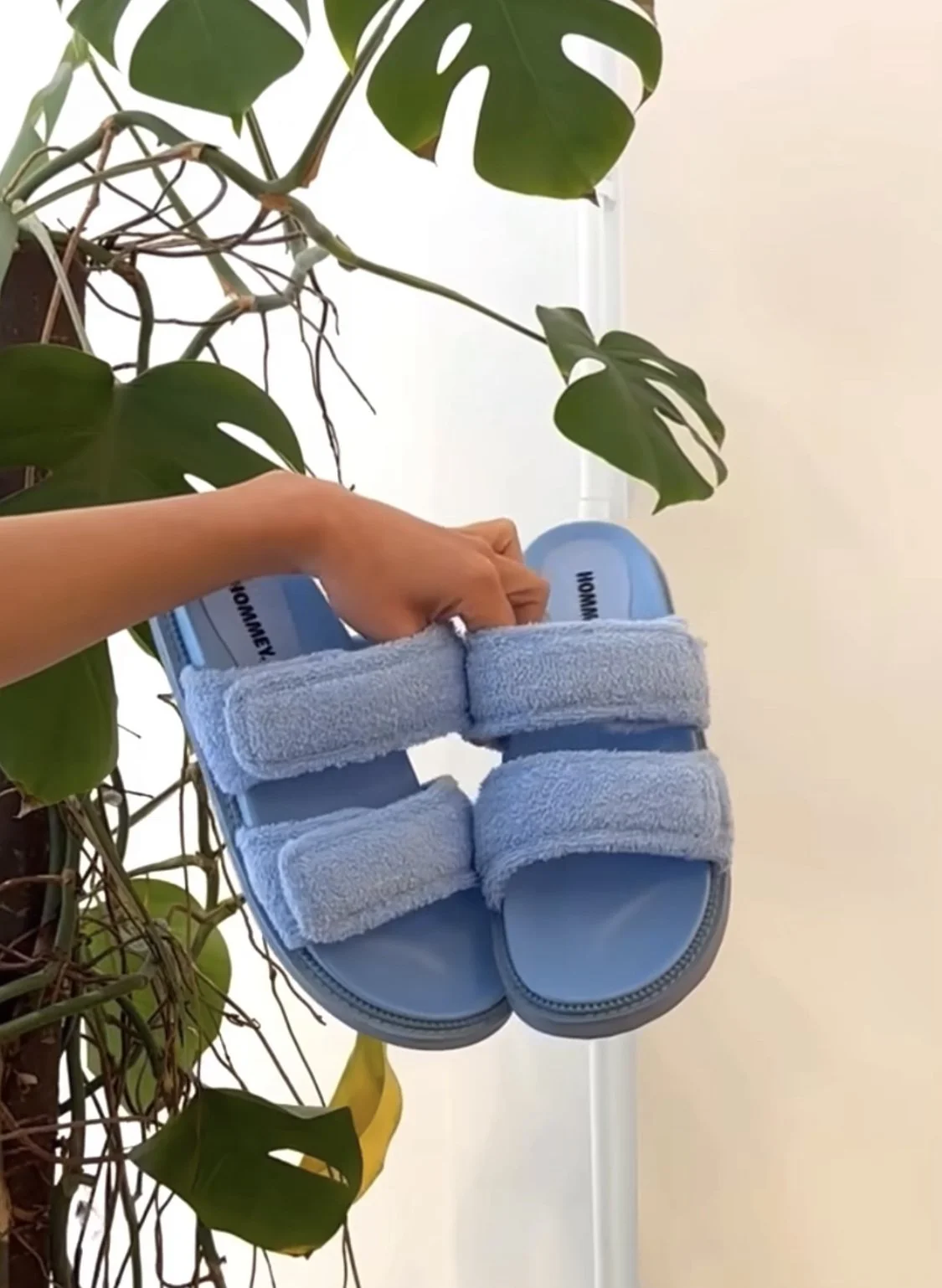 5 Good Things by Hommey