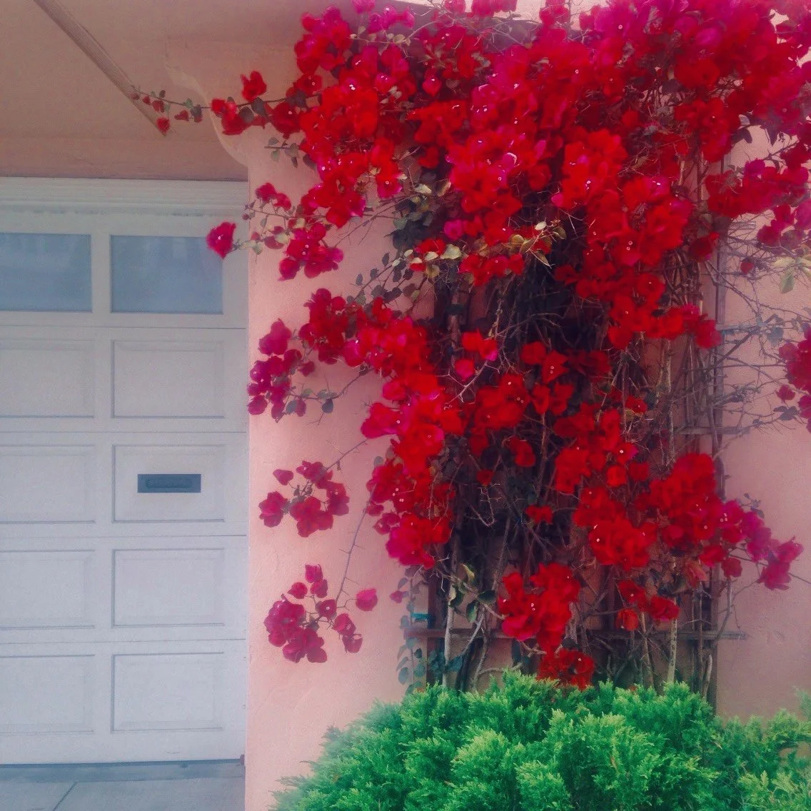 I Finally Learned What Creativity Demanded