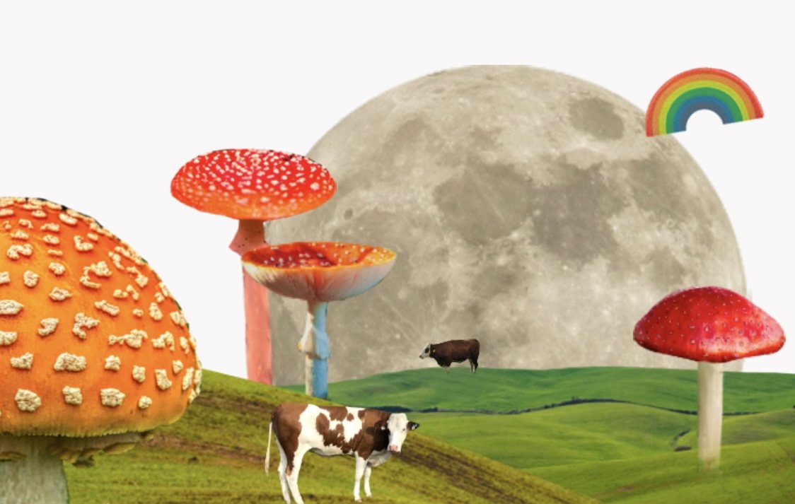 Work It: Chani is Hiring a Junior Graphic Designer (Remote)