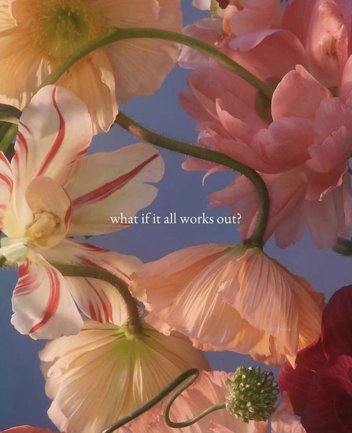 Favorite 5 Instagrams: Messages