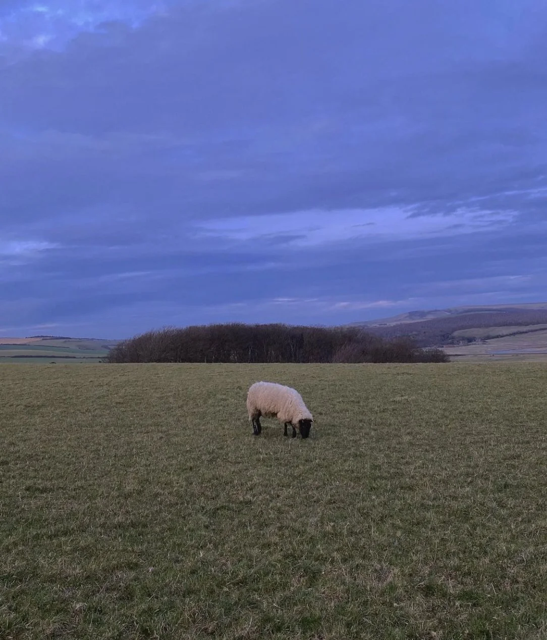 Favorite 5 Instagrams: Ambience