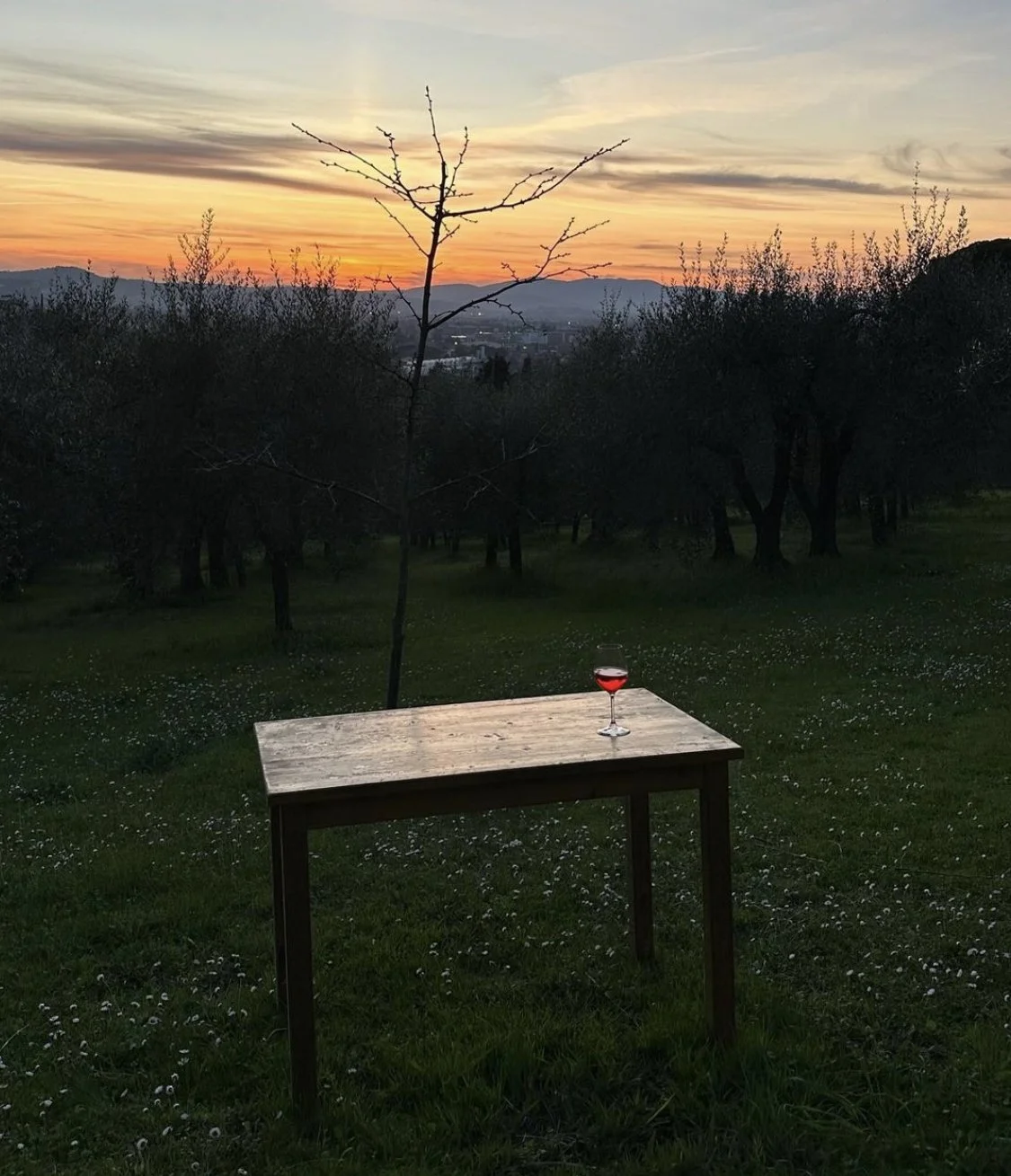 Favorite 5 Instagrams: Enjoy the View