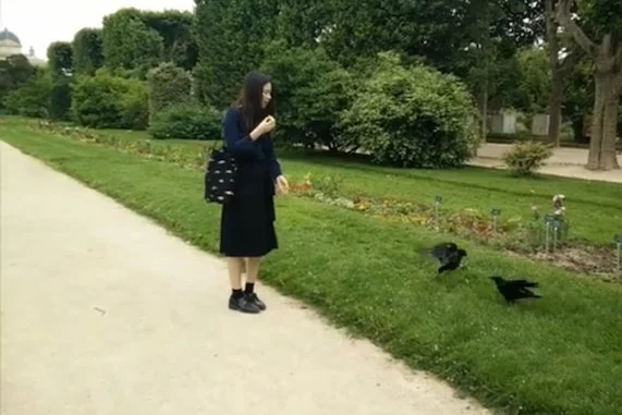 How Culture Shapes Paris