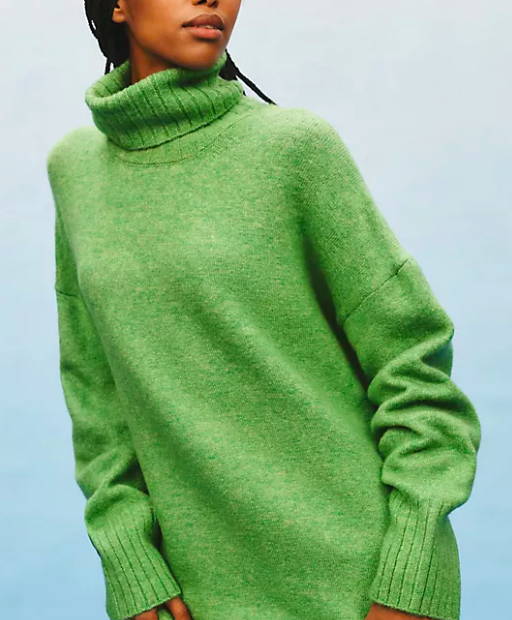 Daily Practice by  Anthropologie - Karigan Turtleneck Sweater Dress
