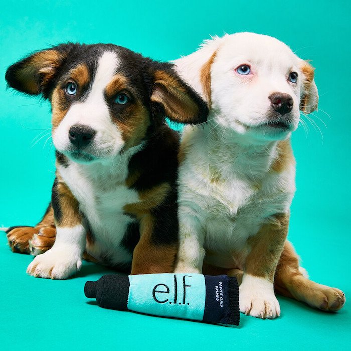 Summer Internship: e.l.f. Beauty - Digital Design (NYC) 