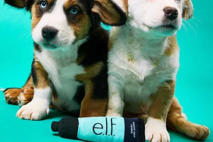 Summer Internship at e.l.f. Beauty is Hiring a Digital Design Intern (NYC)