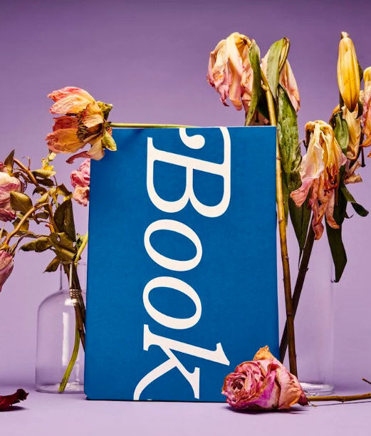 Book of the Month is Hiring a Designer (NYC)
