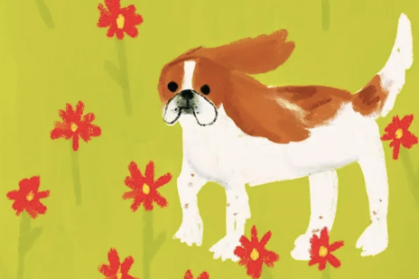 5 Good Things I Learned From My Dog 