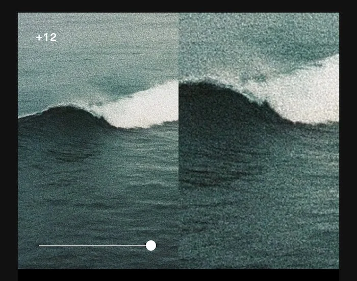 Work It: VSCO is Hiring a Senior Digital Media Designer (San Francisco/Hybrid)