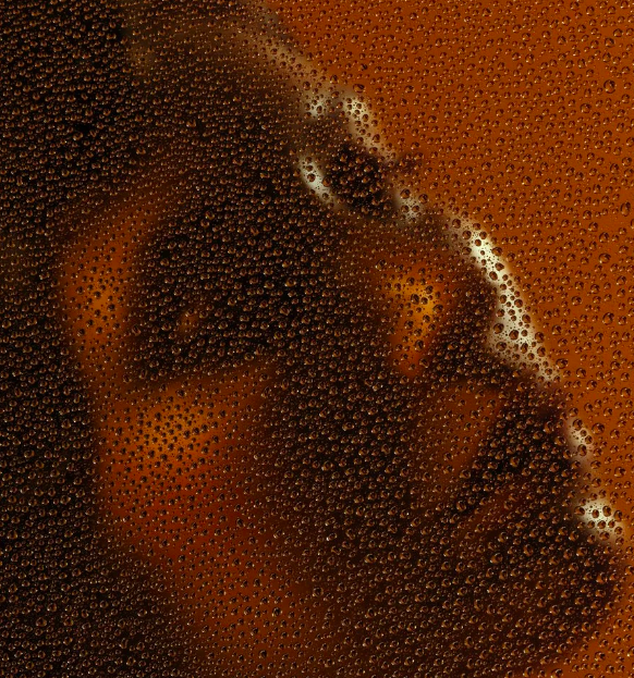 Freelancer for Hire: Jenna Josepher