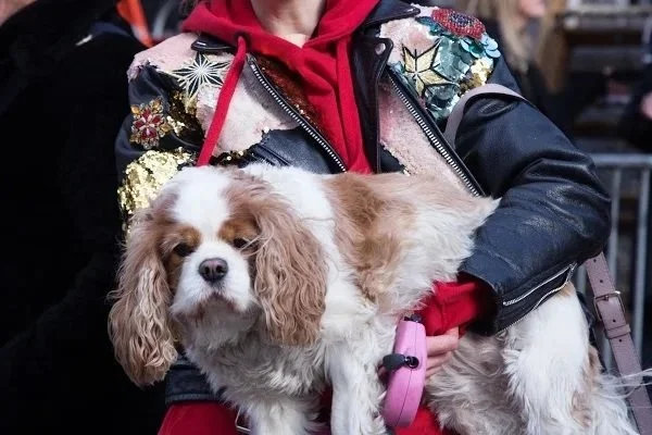 5 Ways To Get Over a Breakup 💔